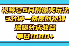（11298期）视频号6月份爆火玩法，3分钟一条原创视频，撸爆分成收益，单日1000 