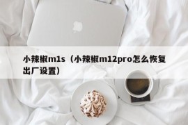 小辣椒m1s（小辣椒m12pro怎么恢复出厂设置）