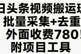 今日头条视频搬运玩法，软件一键去重，轻松日入500 附项目工具
