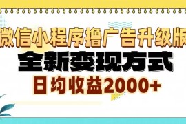 （13362期）微信小程序撸广告6.0升级玩法，全新变现方式，日均收益2000 