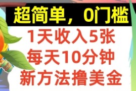 新方法撸美金，日入5张，每天10分钟，复制粘贴，操作简单，0门槛
