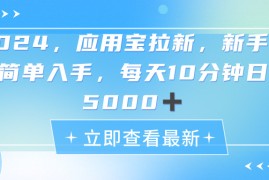 （11236期）2024应用宝拉新，真正的蓝海项目，每天动动手指，日入5000 