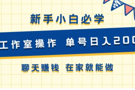 新手小白必学 可工作室操作 单号日入200  聊天赚钱 在家就能做
