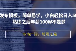 （12973期）剪映发布模板，简单易学，小白轻松日入500 ，熟练之后年薪100W不是梦