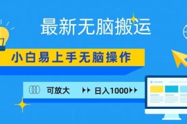 最新无脑搬运项目，小白简单上手，无脑操作，可放大，日入1000 