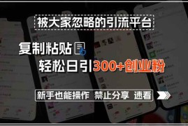 （15428期）被大家忽略的引流平台，复制粘贴轻松日引300 创业粉，新手也能操作，禁…