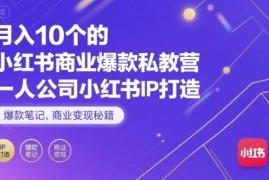 月入10个的小红书商业爆款私教营，一人公司小红书IP打造，爆款笔记，商业变现秘籍