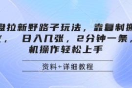 网盘拉新野路子玩法，靠复制搬运图文， 日入几张，2分钟一条，手机操作轻松上手