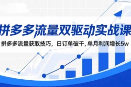 拼多多流量双驱动实战课：拼多多流量获取技巧，日订单破千,单月利润增长5w