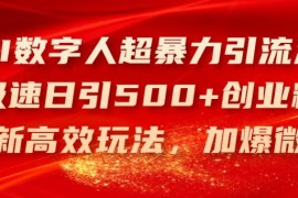 AI数字人超暴力引流法，极速日引500 创业粉，最新高效玩法，加爆微信【揭秘】