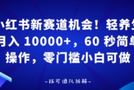 小红书新赛道机会，轻养生月入 1w，60 秒简单操作，带货接广都可以，零门槛小白可做