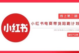 2025小红书虚拟电商实战课，从0到1打造无货源店铺，AI 爆款笔记轻松变现