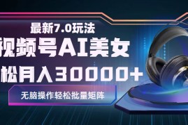 （12314期）视频号7.0最新玩法AI美女跳舞，轻松月入30000 