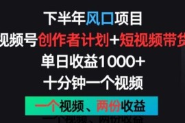 下半年风口项目，视频号创作者计划 视频带货，一个视频两份收益，十分钟一个视频【揭秘】