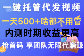 （10327期）一键托管代发视频，一天500 啥都不用管，内测时期收益更高，抢首码，享…