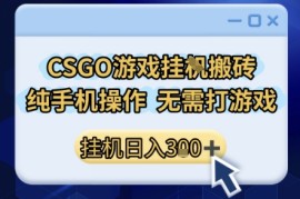 CSGO游戏挂G搬砖，小白纯手机即可操作，不用电脑打游戏，日入3张 ，副业网创项目【揭秘】