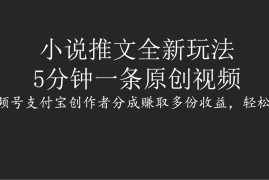 小说推文全新玩法，5分钟一条原创视频，结合视频号支付宝创作者分成赚取多份收益，轻松月入1W 