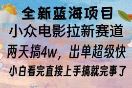 （13521期）全新蓝海项目 电影拉新两天实操搞了3w，超好出单 每天2小时轻轻松松手上