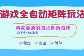 （16589期）游戏全自动矩阵玩法，日入1000 ，永不失业的副业！