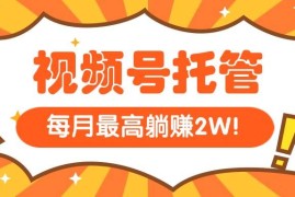 （15331期）【视频号托管 】我提供视频，你每天５分钟复制发布，最高月入1W