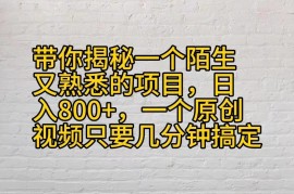 带你揭秘一个陌生又熟悉的项目，日入800 ，一个原创视频只要几分钟搞定