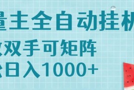 （15369期）流量主挂机每天几分钟日入1000 无脑操作，可矩阵并附有管道收益