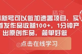 0粉新号可以做的加速器项目，实测首发作品收益100 ，1分钟产出原创作品，简单好做