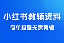 小红书教辅资料掘金，热门蓝海项目，简单粗暴无需剪辑，新手小白也能月入 1W 