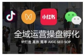 全域运营操盘(抖音 私域 小红书)，IP打造高效简单