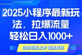 （14028期）2025年小程序最新玩法，流量直接拉爆，单日稳定变现1000 