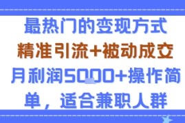 小众赛道玩法：当下最热门的变现方式，精准引流 被动成交月利润5k 操作简单，适合兼职人群