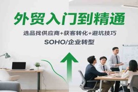 外贸入门到精通，选品找供应商 获客转化 避坑技巧，SOHO/企业转型