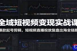 全域短视频变现实战课：爆款起号剪辑，短视频直播投放复盘出海全链路