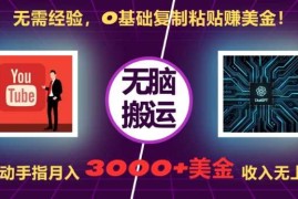 无需经验，0基础复制粘贴赚美刀，动动手指，月入3000 刀，无上限【揭秘】