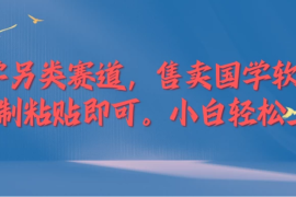 国学新赛道，售卖国学软件。复制粘贴，小白轻松上手