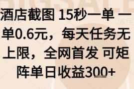 酒店截图项目，15秒一单，一单0.6米，每天任务无上限，全网首发可矩阵单日收益3张 【揭秘】