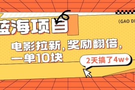 （11930期）蓝海项目，电影拉新，奖励翻倍，一单10元，2天搞了4w 