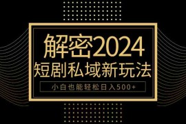 （9951期）10分钟教会你2024玩转短剧私域变现，小白也能轻松日入500 