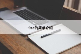9se的简单介绍