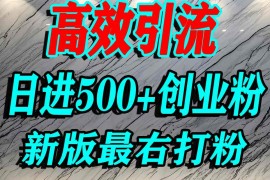 最右打创业粉，百分之九十九同行都不知道的空白蓝海，单人日引500 精准流量