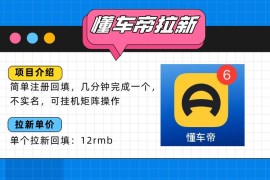 （15661期）懂车帝邪修拉新玩法，简单注册回填，不sm，单个拉新12rmb，轻松日入200 