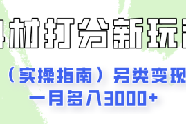 身材颜值打分新玩法（实操指南）另类变现一月多入3000 