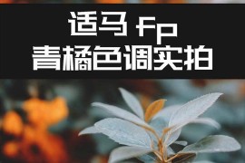 青橙手机(青橙手机配件)