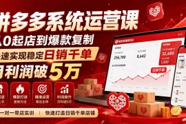 拼多多系统运营课(更新8月