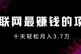 （12396期）互联网最赚钱的项目没有之一，轻松月入7万 ，团队最新项目