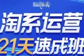 淘系运营21天速成班，0基础轻松搞定淘系运营，不做假把式，快速复制落地(更新26年8月)