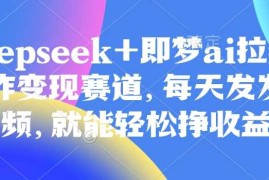原客单价998的deepseek 即梦ai拉新，王炸变现赛道，每天发发视频，就能轻松挣收益