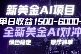（17140期）日赚1500-6000 ，新美金 AI 对冲项目，合规稳定，小白易上手，创业副业优选，可复制放大