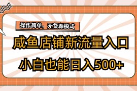 咸鱼店铺新流量入口玩法，小白也能日入500 