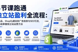 5节课跑通独立站盈利全流程：从选品、Shopify建站到广告投放与SEO引流，零基础掌握独立站运营方法